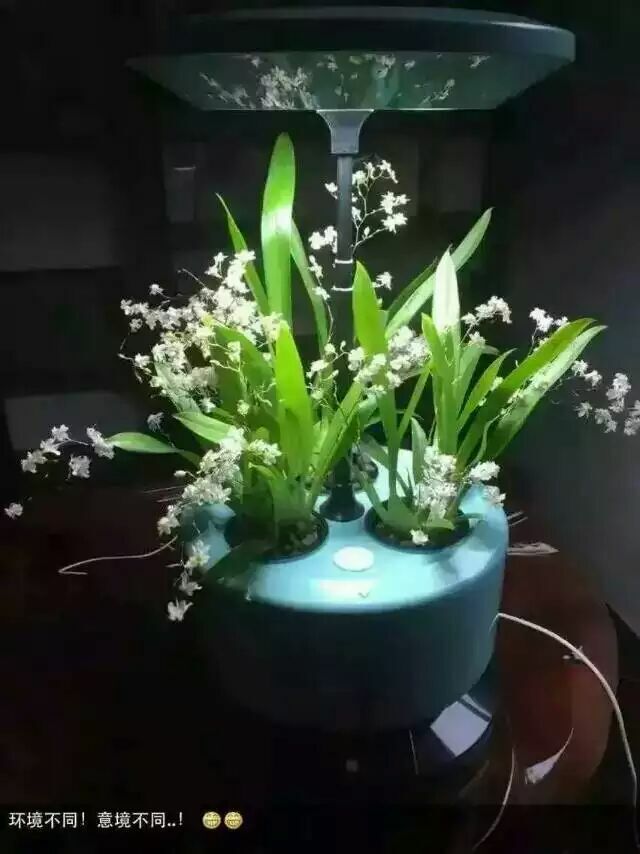 植物生长机进入家庭微耕时代 新品发布会暨招商大会于2015年12月27日盛大开幕